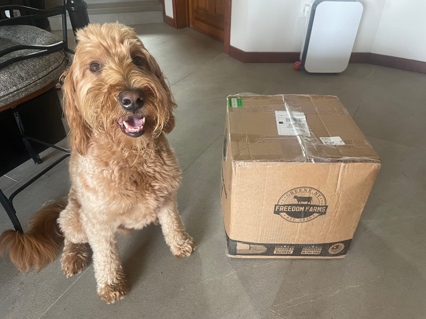 Customer photo review of WOOF WOOF BOX