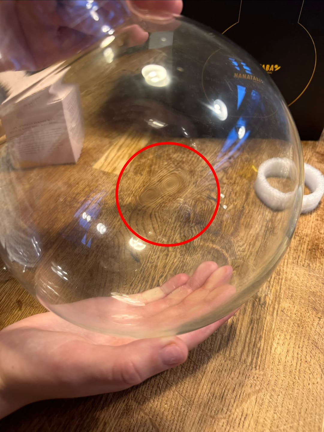 Customer photo review of Bubble Glass Flower Vase