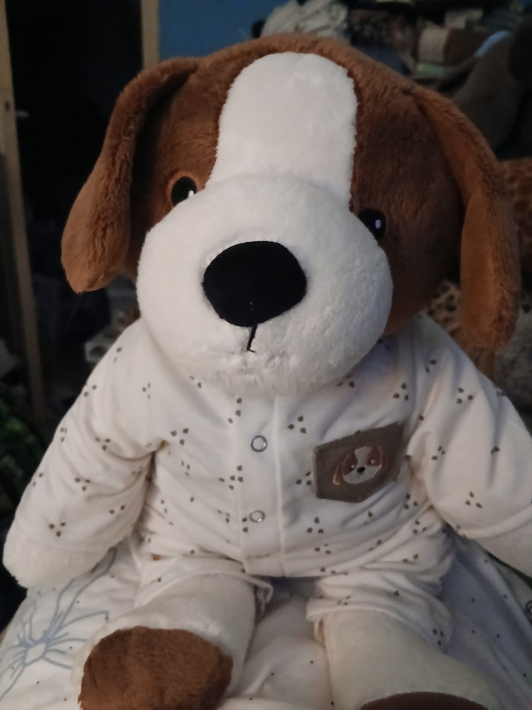 Customer photo review of Hond Kleding Herfst Lotgenootje