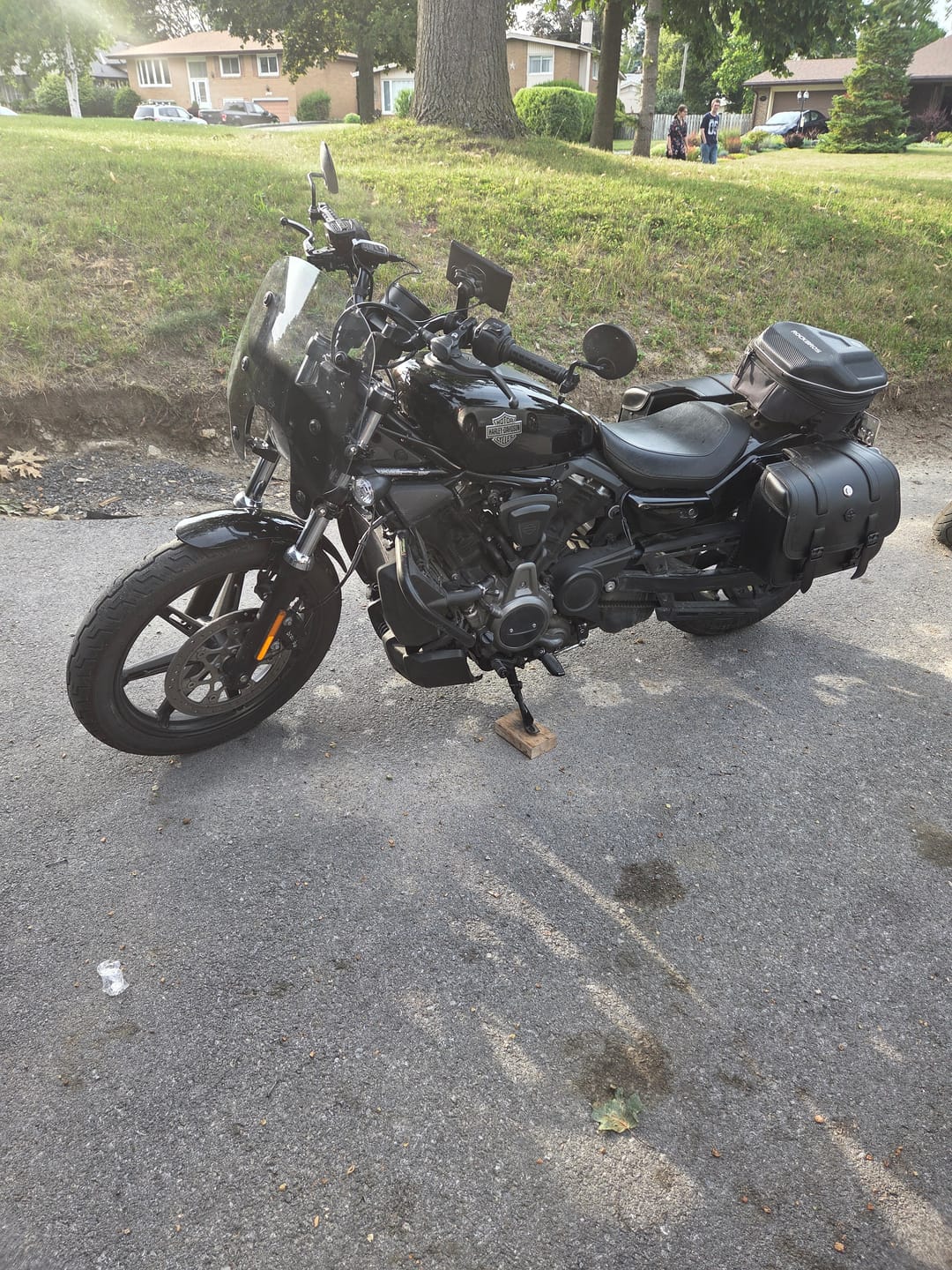 Customer photo review of 14L - Viper Medium Shock Cutout Harley Nightster RH975/S Leather Motorcycle Saddlebags