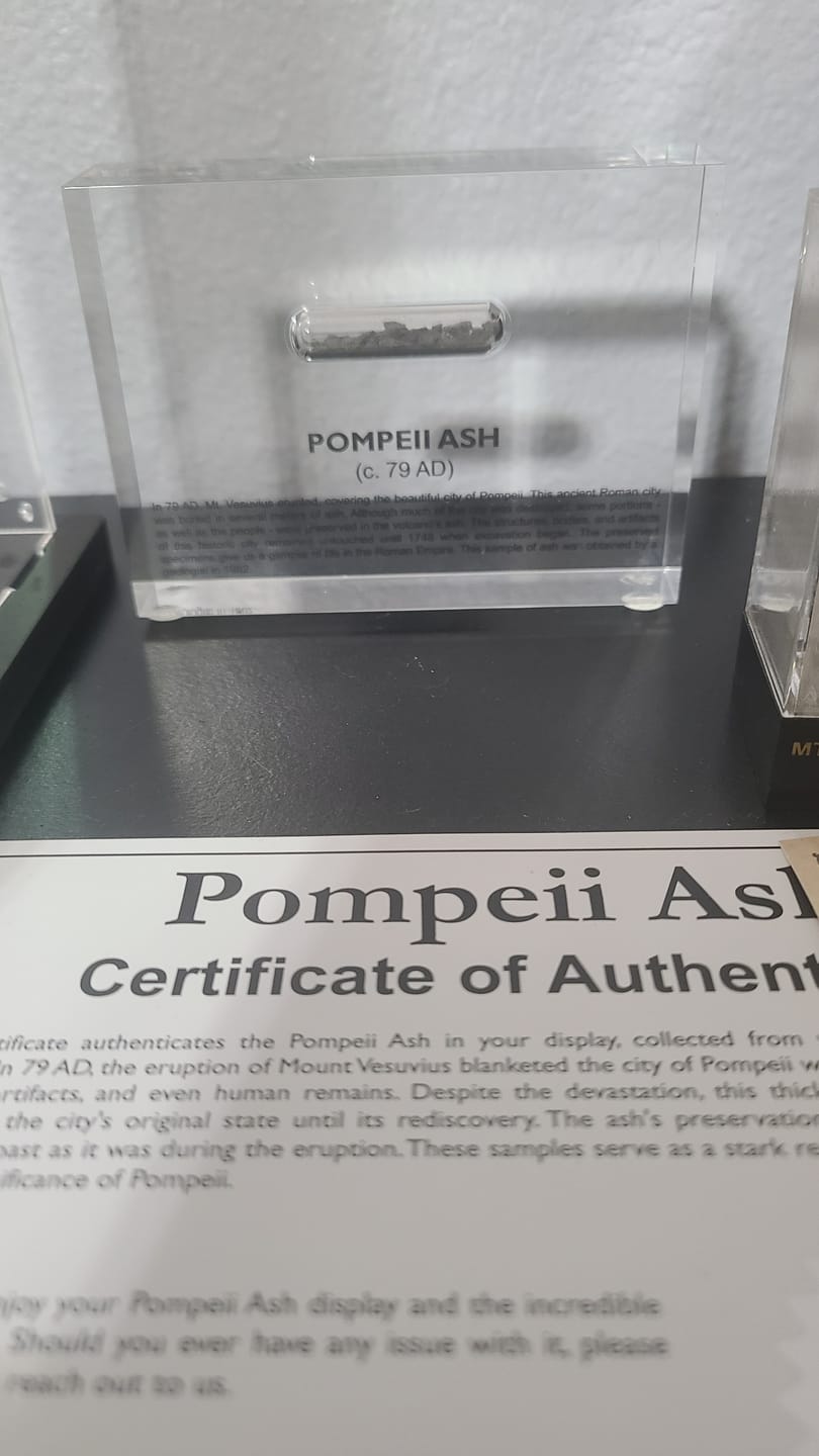 Customer photo review of Pompeii Ash Artifact Display