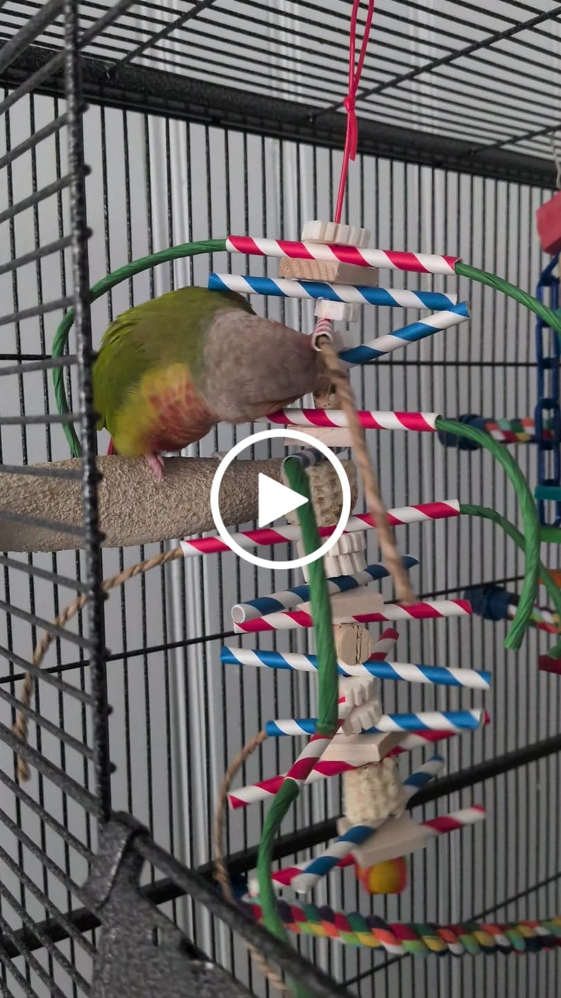 Customer video review of 1" Natural Corks