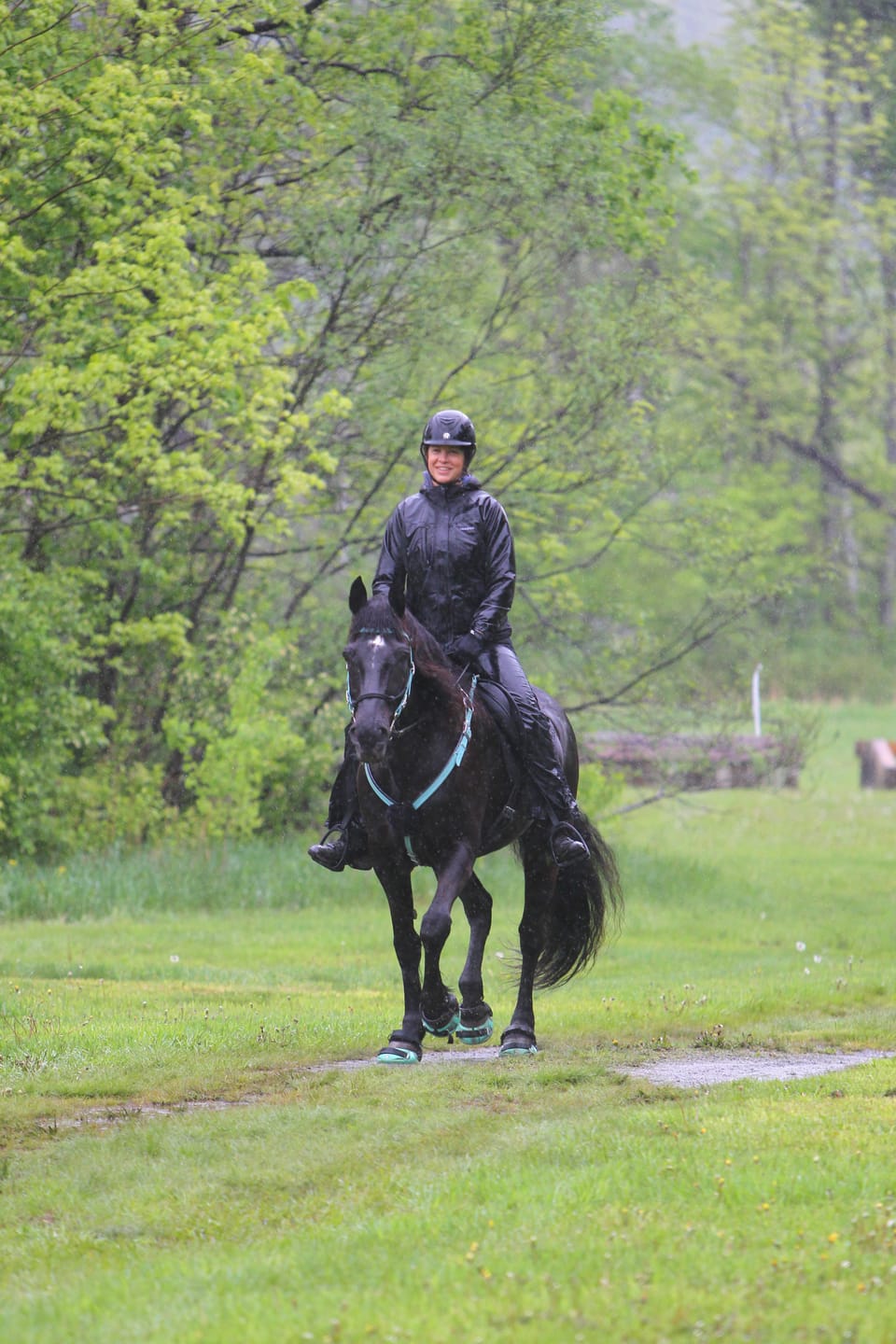 Customer photo review of Renegade® Viper Glow™ Hoof Boot - Caribbean Dream