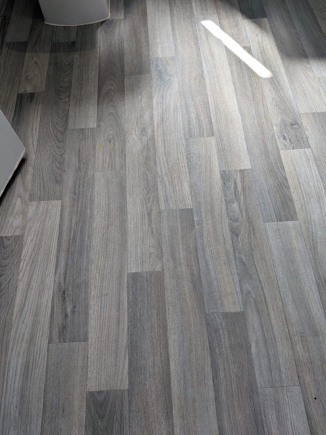 Customer photo review of Probiotic Floor Cleaner Concentrate