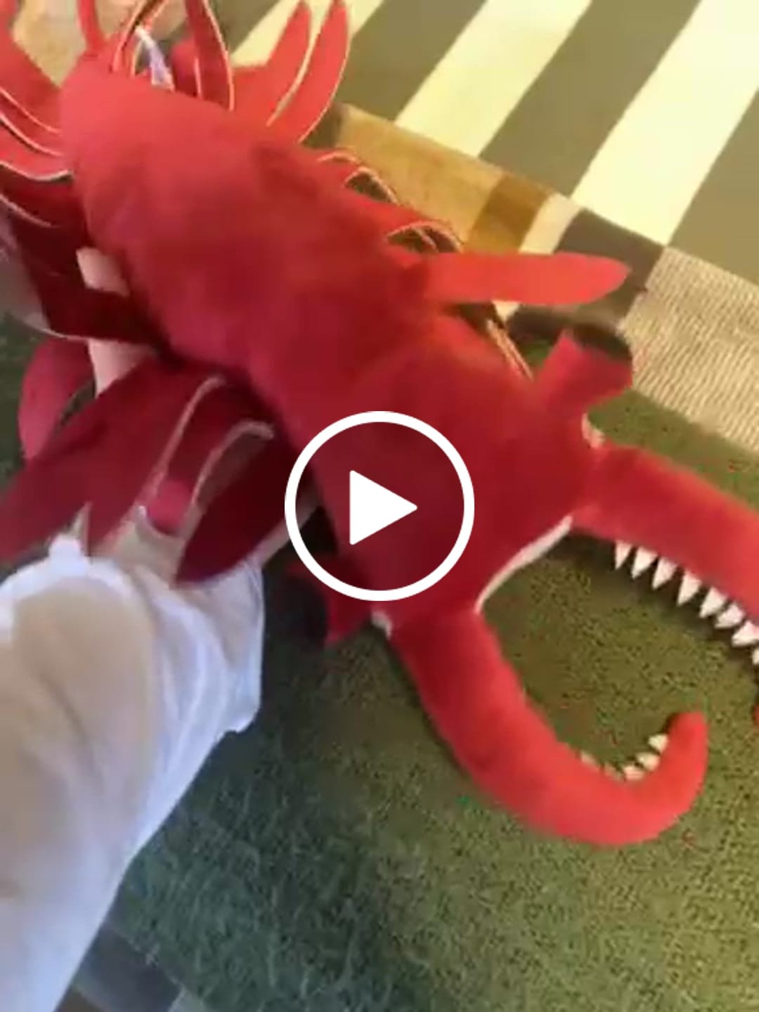 Customer video review of Anomalocaris Arthropod Soft Stuffed Plush Toy