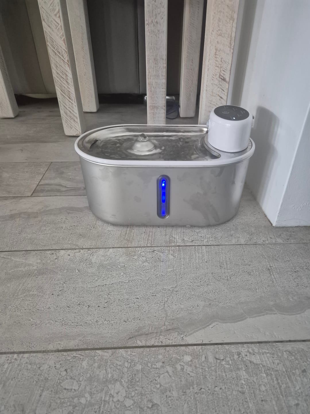 Customer photo review of Petbuds Flow Pet Drinking Fountain