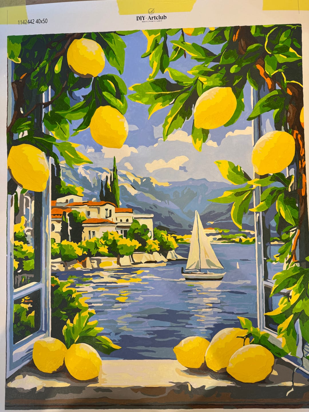 Customer photo review of Lemons & Italian Lake View | Paint by Number