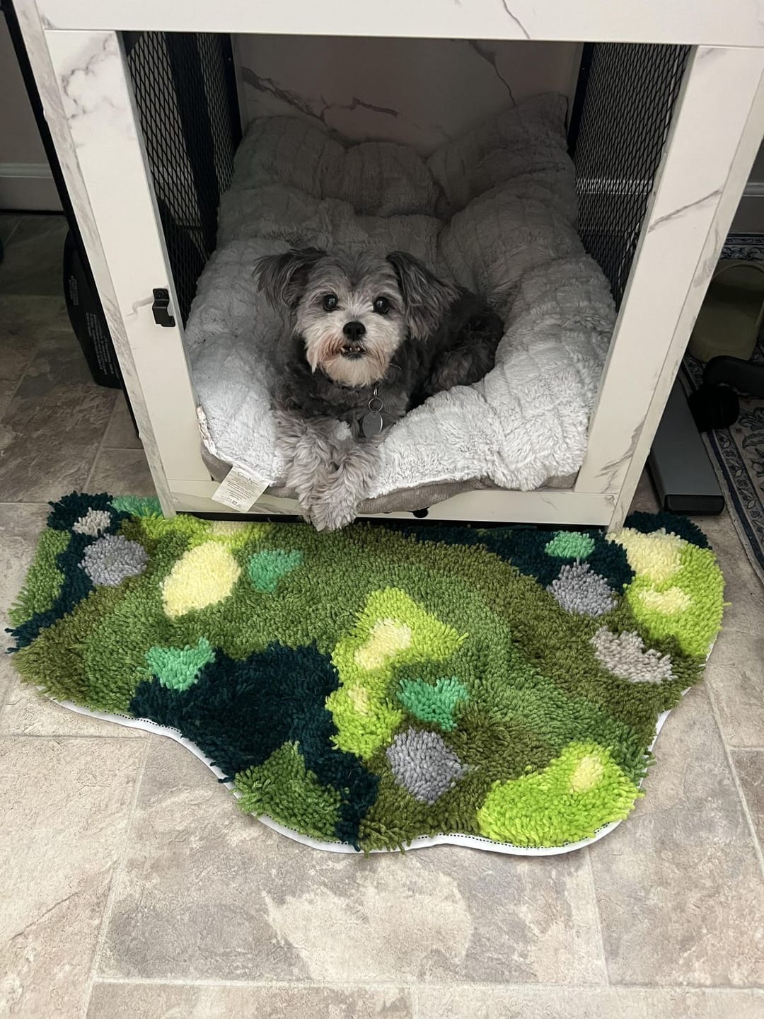 Customer photo review of MOSSY CAVERN - XL Mirror Rug Making Kit