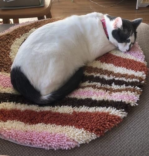Customer photo review of CHECK ME OUT - Rug Making Kit