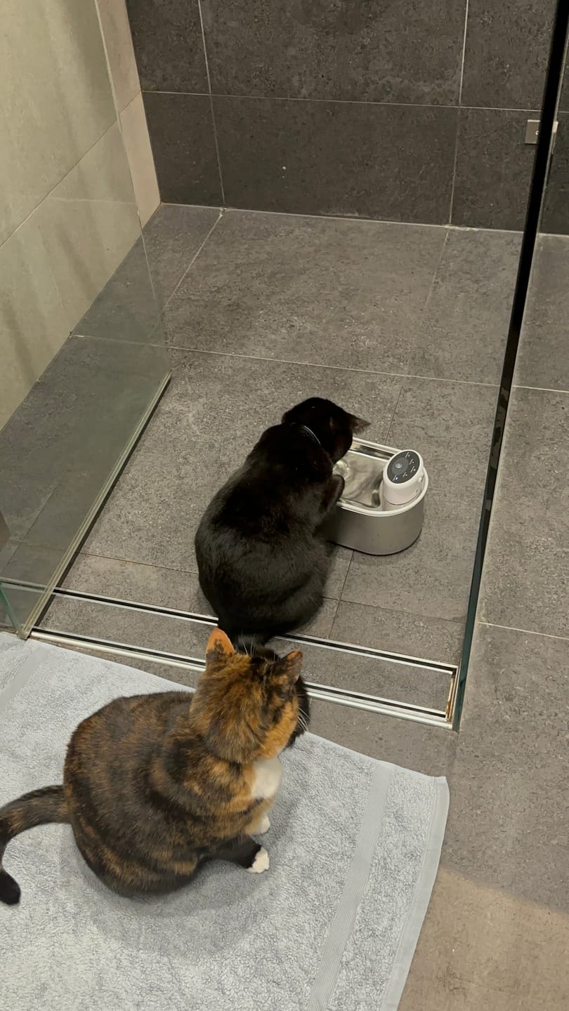 Customer photo review of Petbuds Flow Pet Drinking Fountain