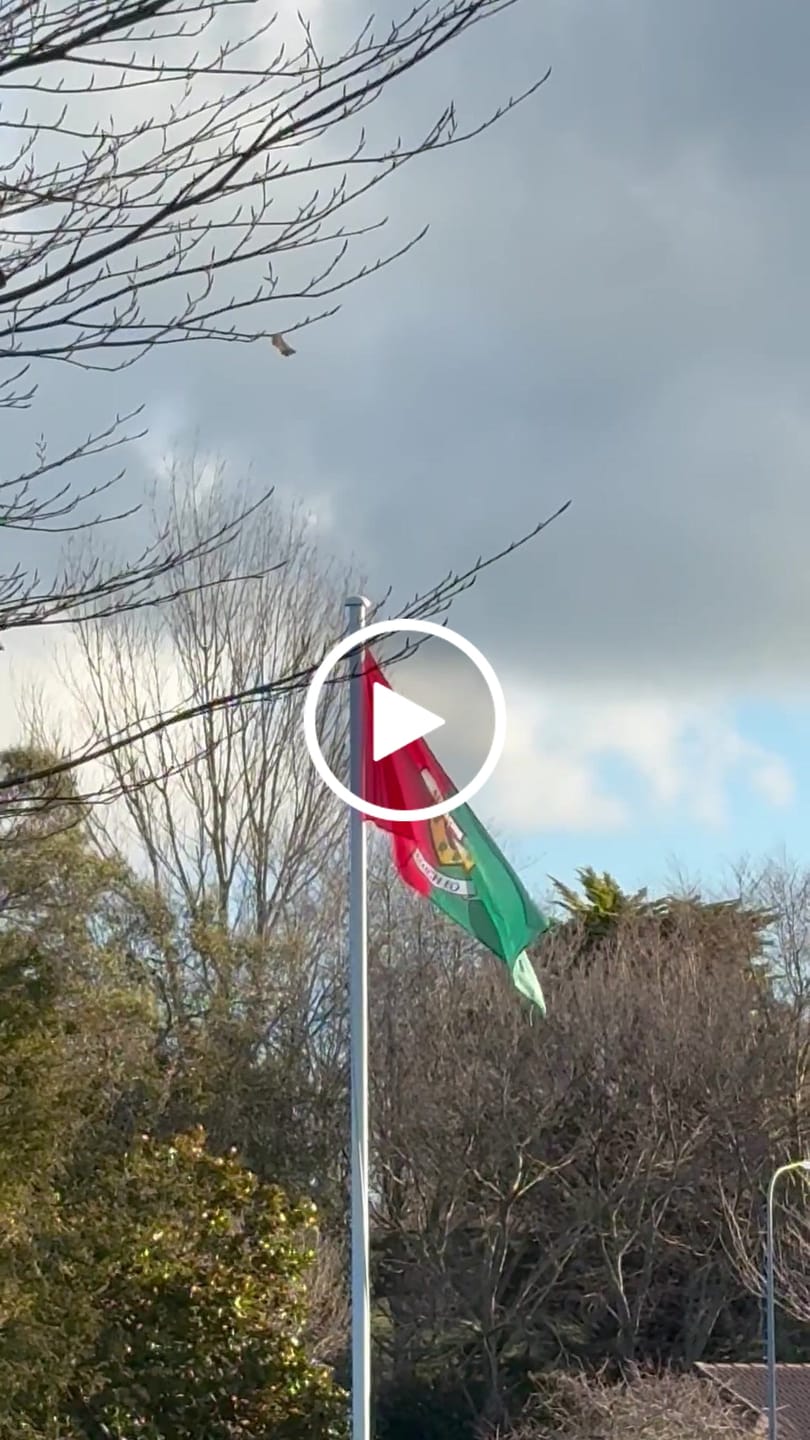 Customer video review of Mayo County Crest Flag