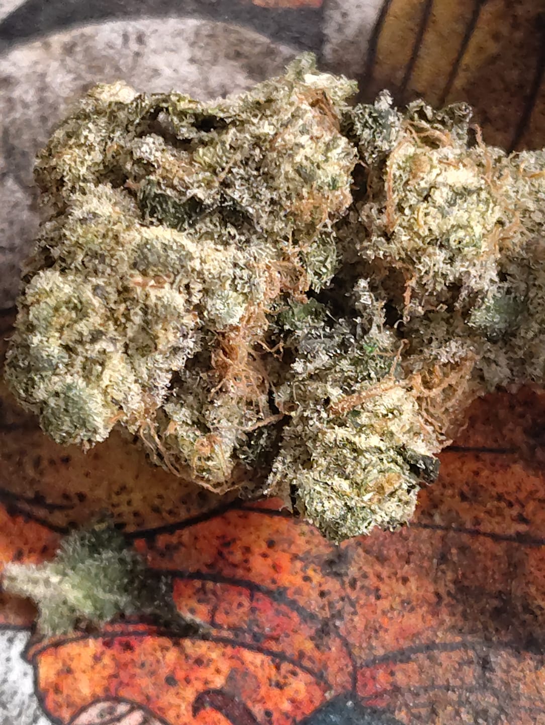 Customer photo review of Cereal Milk THCA Flower (Premium)