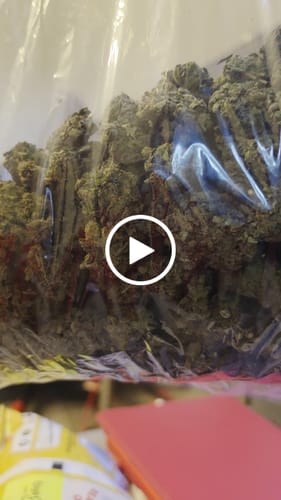 Gelato Kush - Bulk - Indica photo review