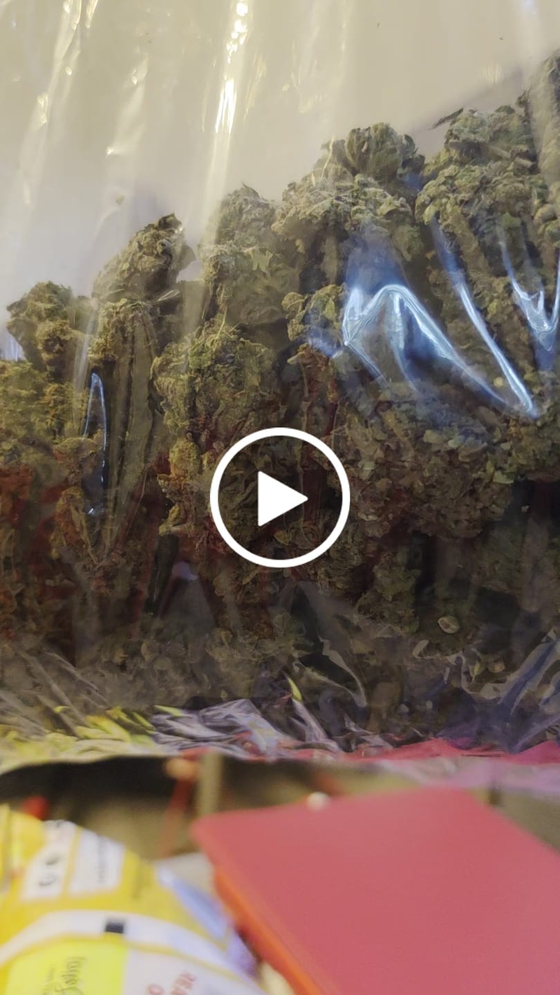 Customer video review of Gelato Kush - Bulk - Indica