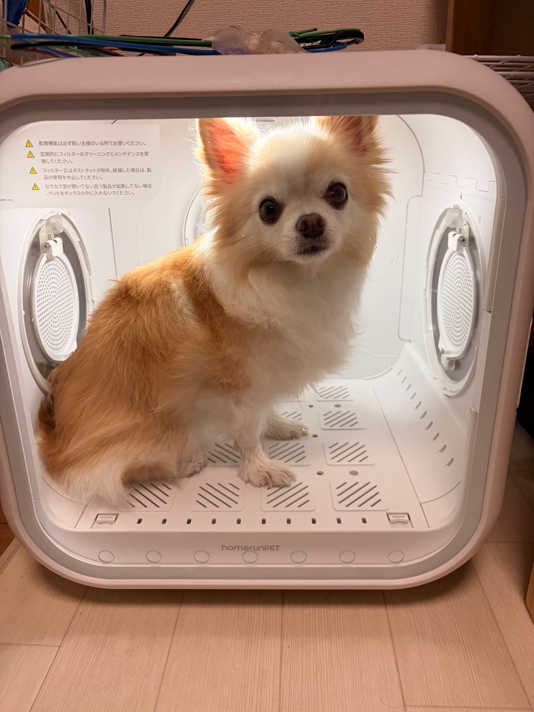 Customer photo review of homerunPET Dryboシリーズ ペットドライヤーハウス（50L・62L）