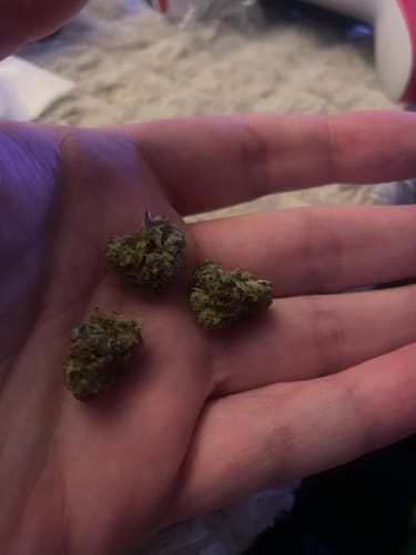 Raspberry Kush - 14 Grams - Indica photo review