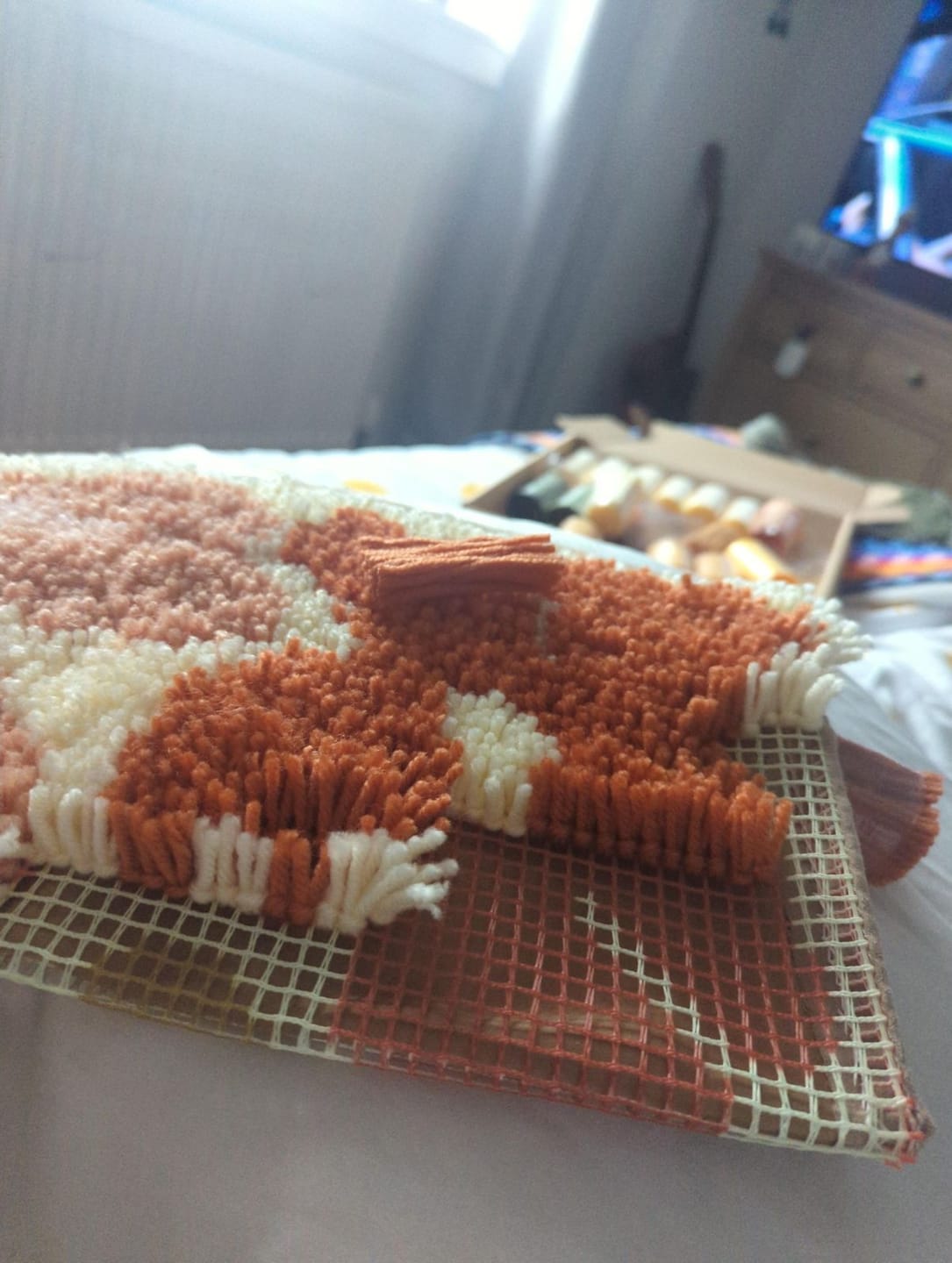 Customer photo review of PRETTY PETALS EARTHY - Latch Hook Cushion Kit