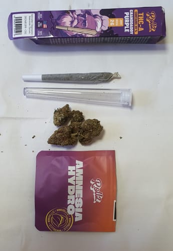 Customer's Amnesia Hydro CBD flower, showing the purple pouch and loose buds next to another cannabis product.