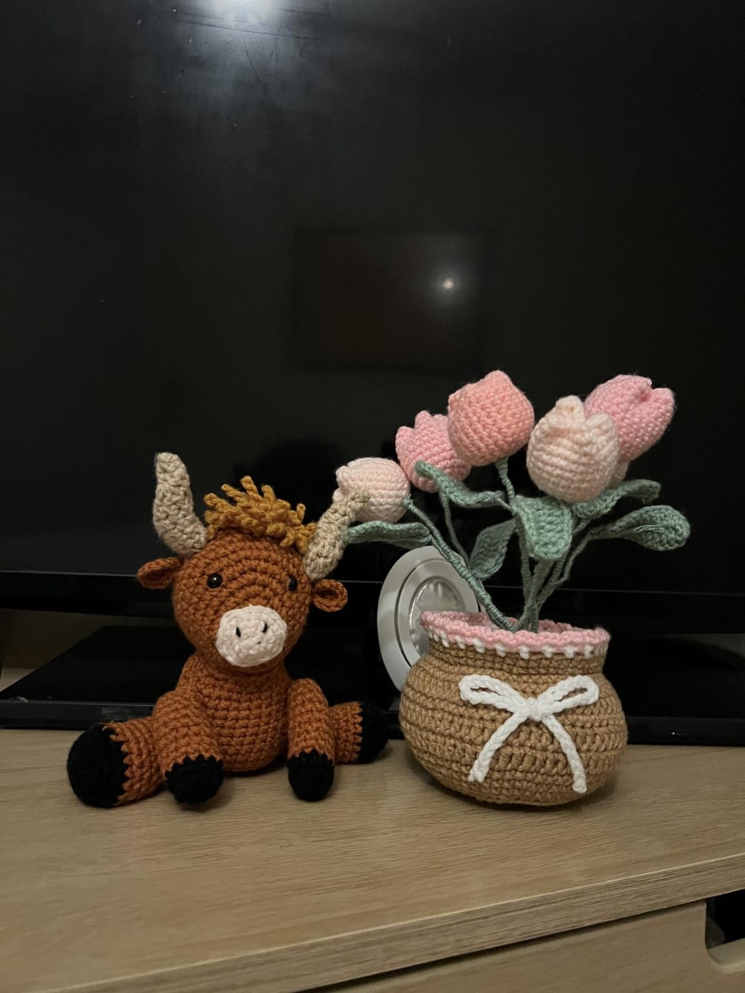 Customer photo review of Tulip Pot - Crochet Pot Plant Kit