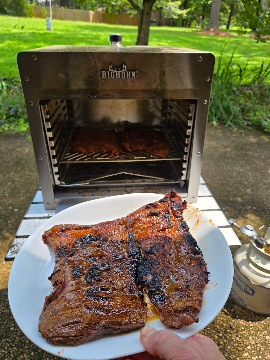 Customer photo review of 1500℉ Portable Infrared Steak Grill with Pizza Stone, Stainless Steel- 16 Inch