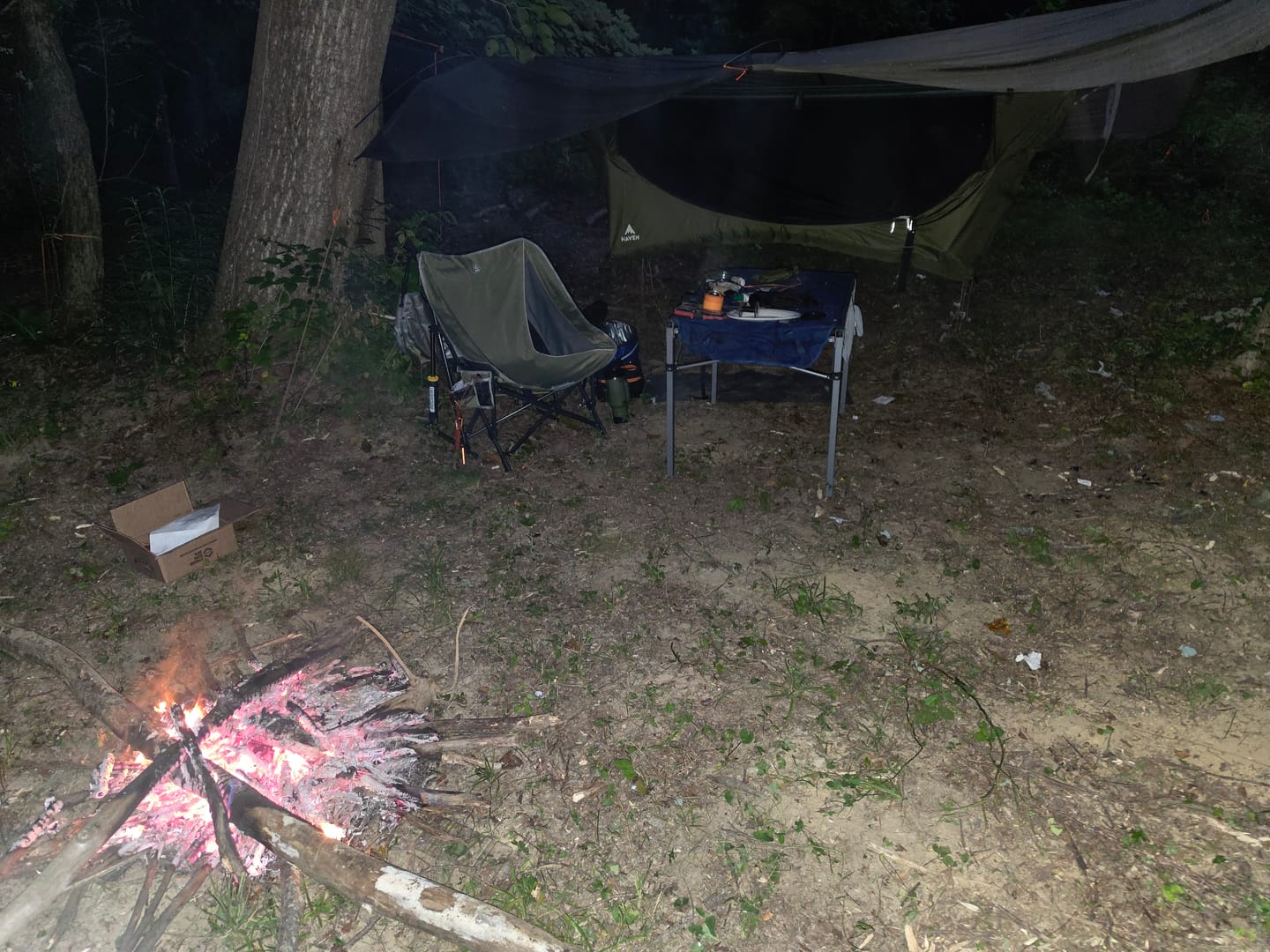Customer photo review of Haven Safari (Second | Hammock)