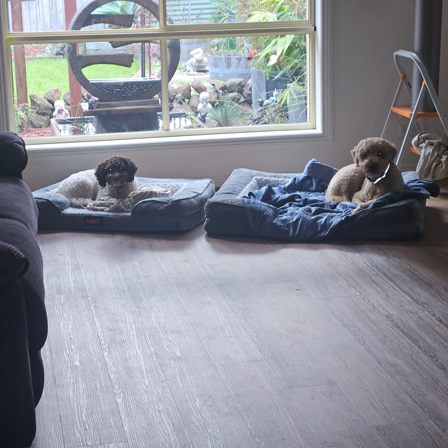 Customer photo review of Orthopedic Memory Foam Dog Bed