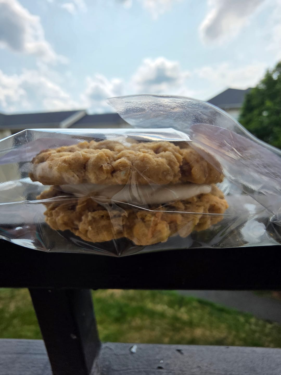 Customer photo review of Original Oatling Oatmeal Cream Pies