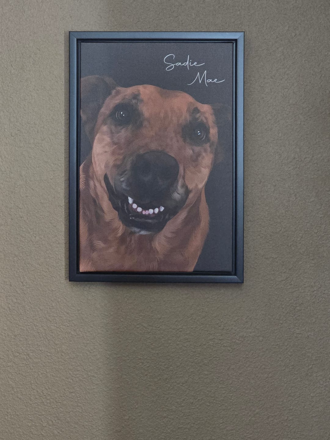 Customer photo review of Pet Art Canvas Wrap
