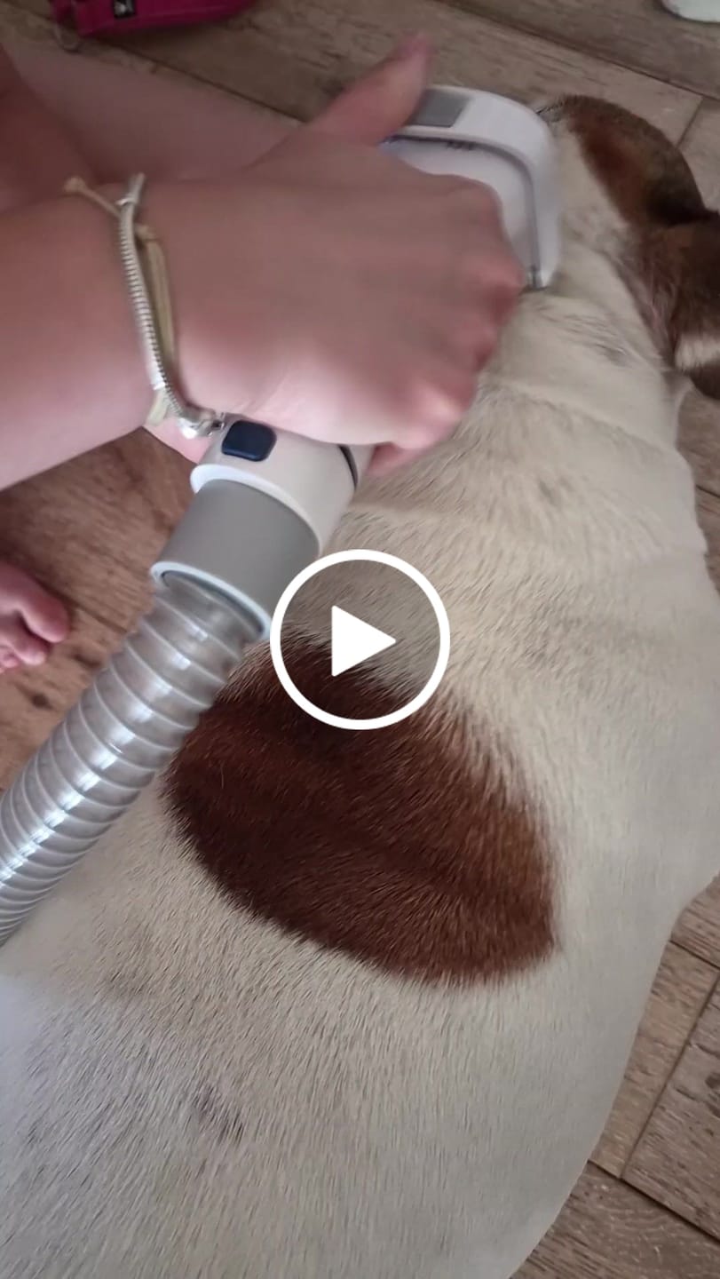 Customer video review of Oneisall LM2 7-in-1 Pet Grooming Vacuum Kit