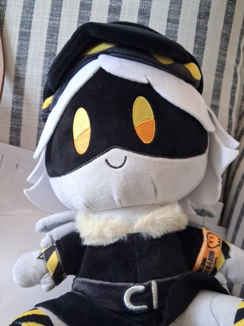 Customer photo review of N Plush
