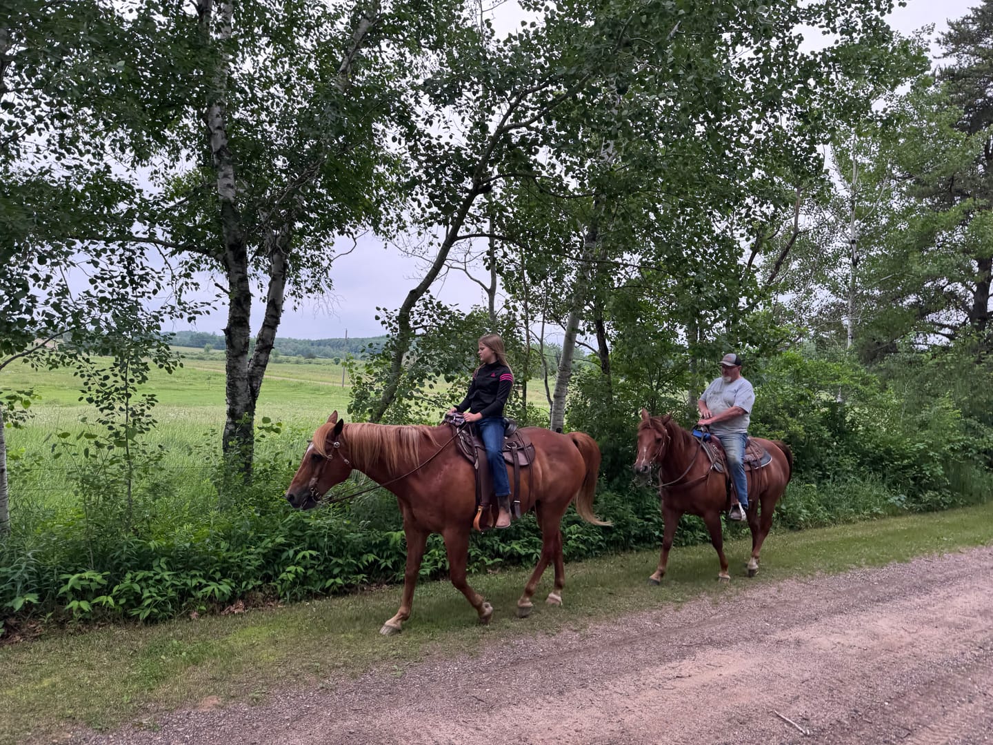Customer photo review of OptiWize Collagen +Plus Horse Joint Supplement
