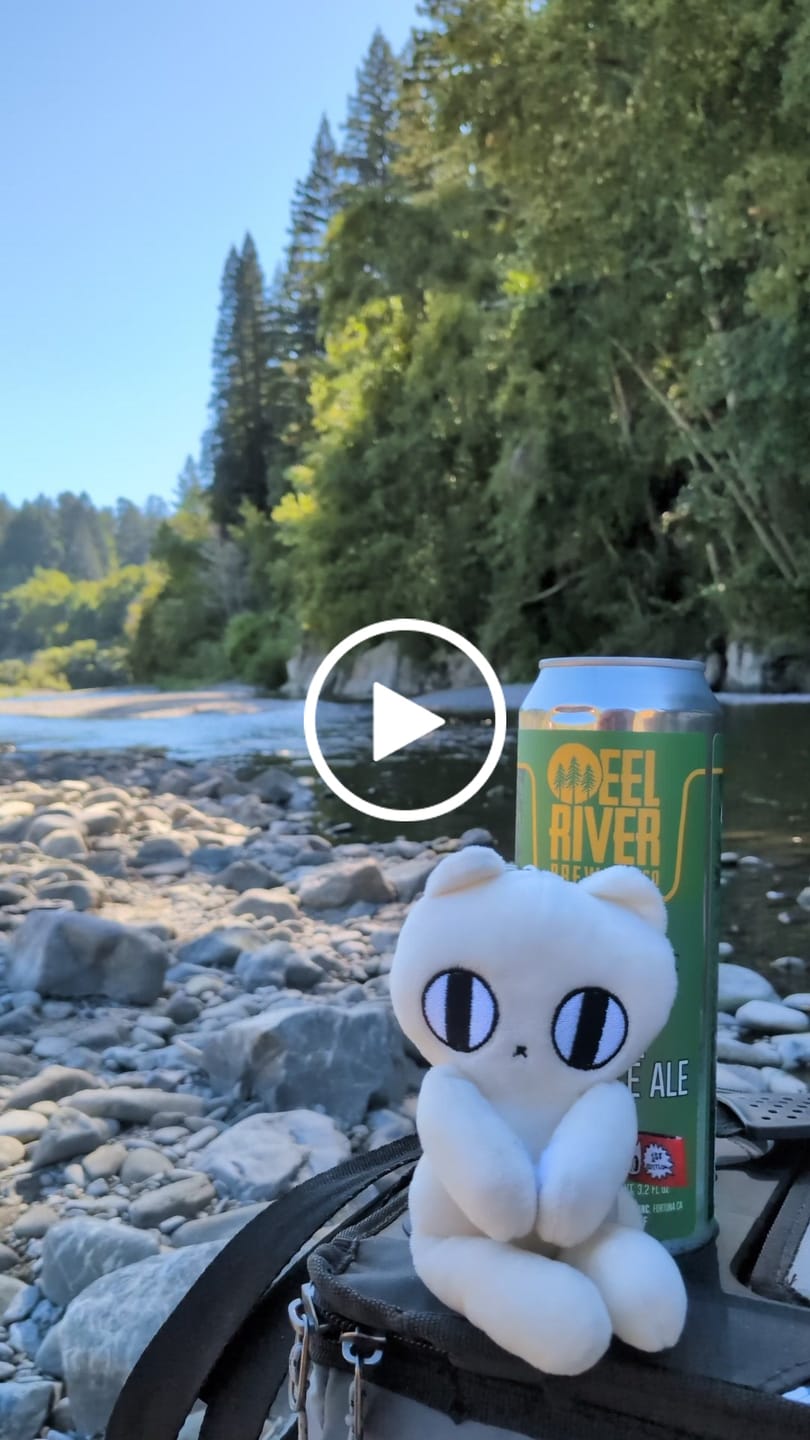 Customer video review of MeowBro Scrunch Plush