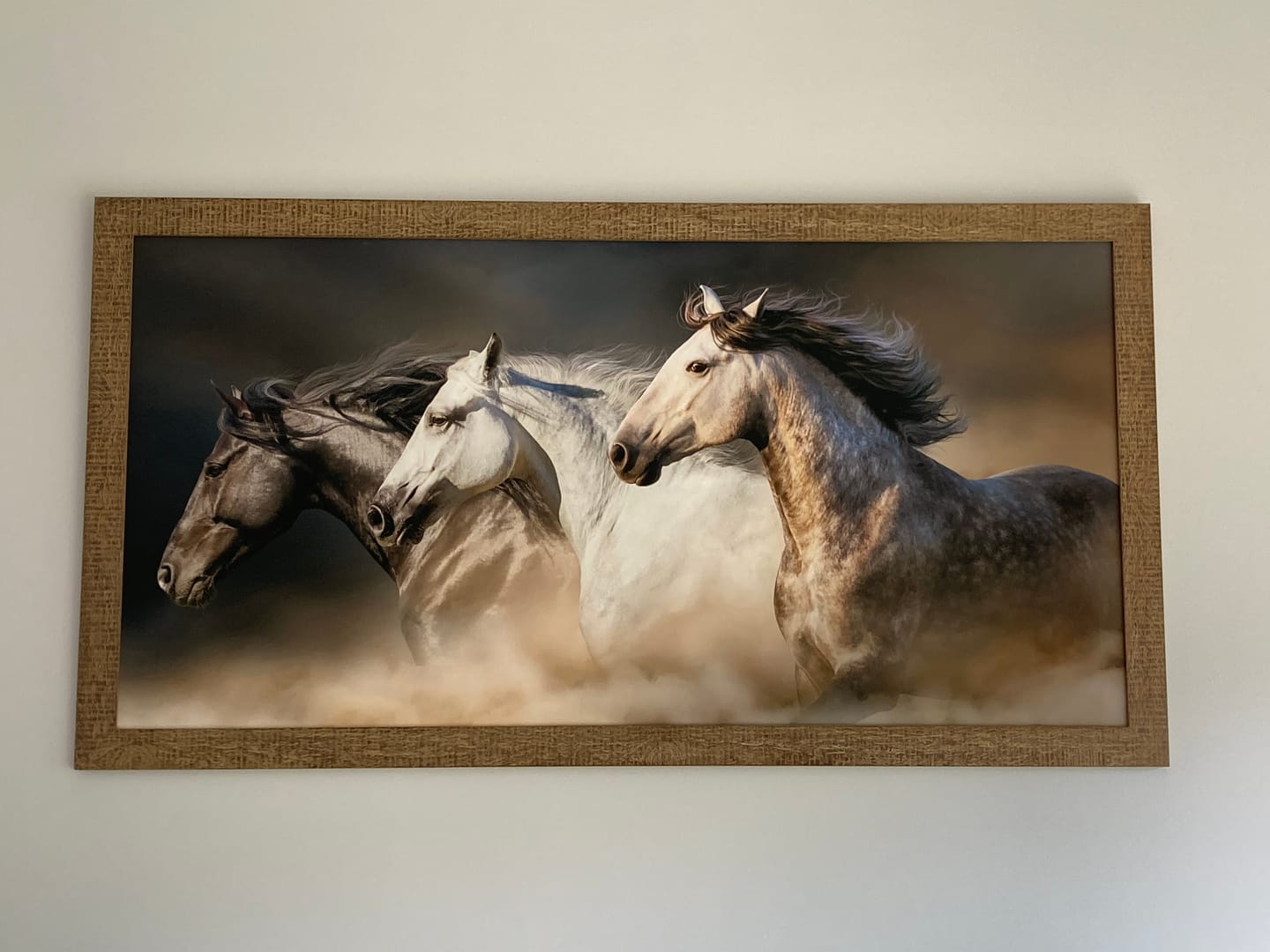 Customer photo review of THREE HORSES - XL+