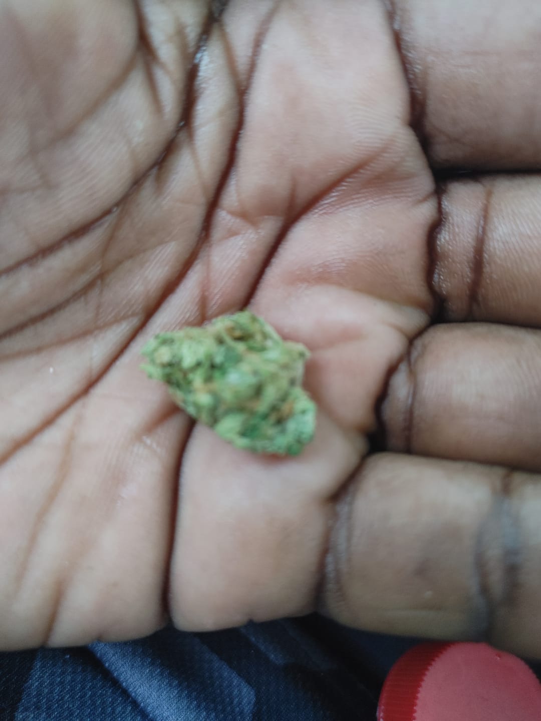 Customer photo review of Biscotti Cake - 28 Grams - Hybrid