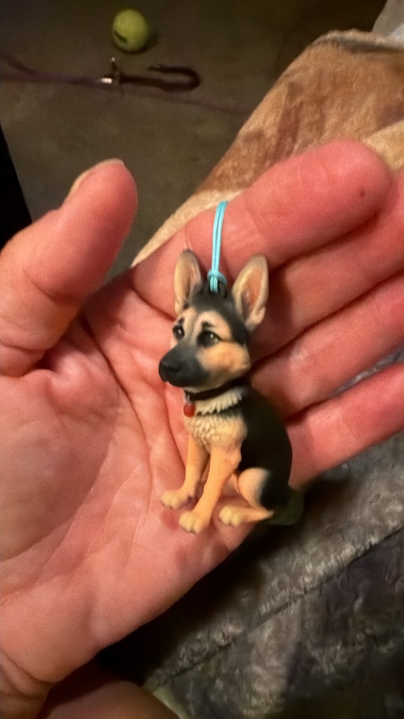 Customer photo review of Custom 3D Pet Figure Keychain & Bag Charm - Take Them Everywhere