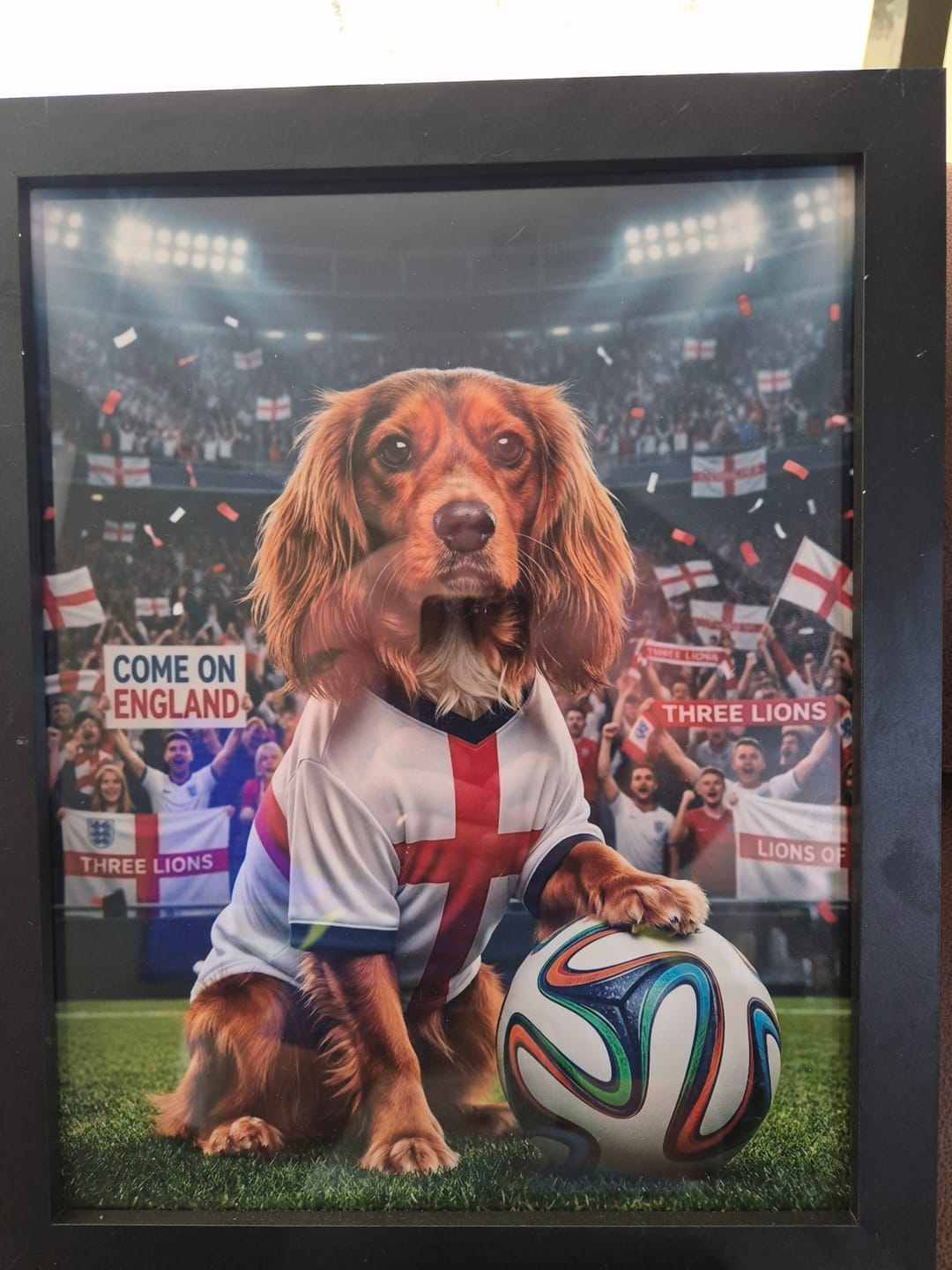 Customer photo review of World Cup - Personalised Poster