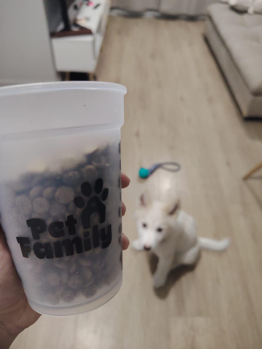 Customer photo review of Vaso Medidor PetFamily