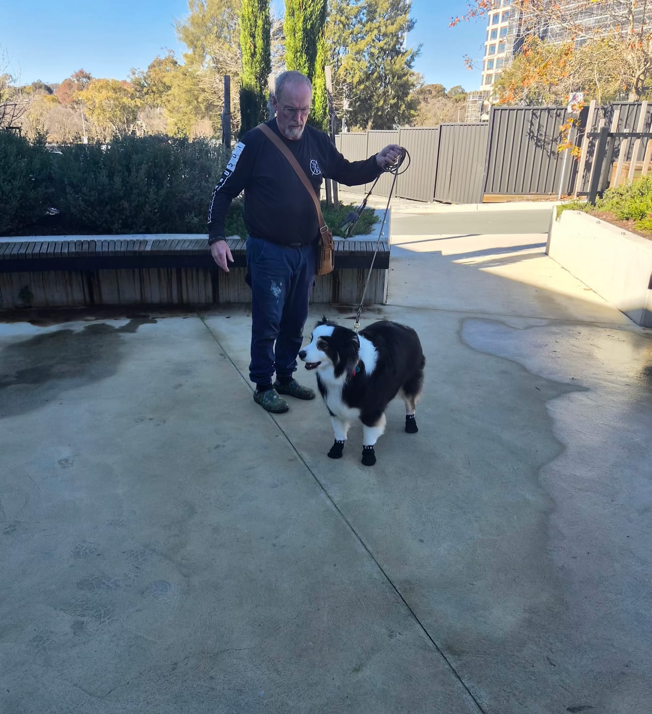 Customer photo review of AIR PUP SPRINTERS - SET OF 4