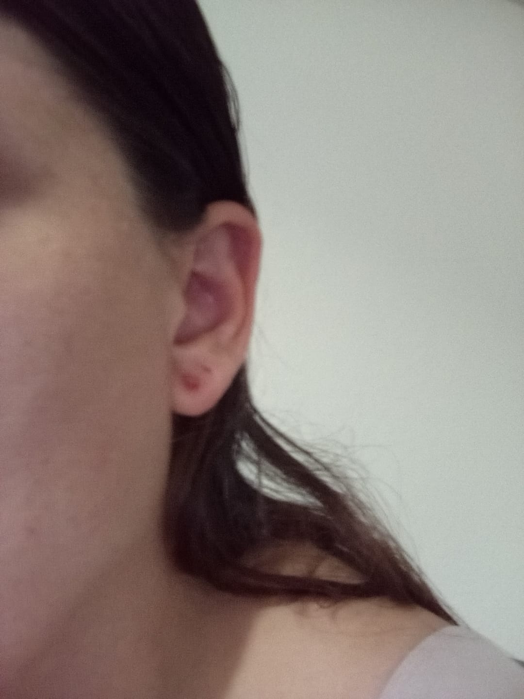 Customer photo review of Constellation Stud Set (set of 5 Pairs) (Bundle)