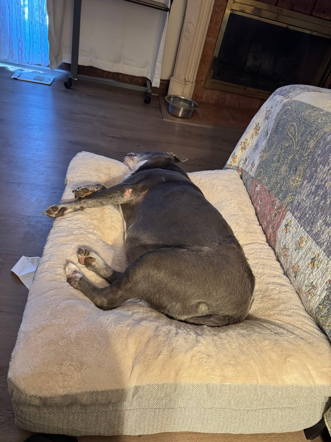 Customer photo review of Trouble Spot Drying Paste - Canine and Cat - 5oz