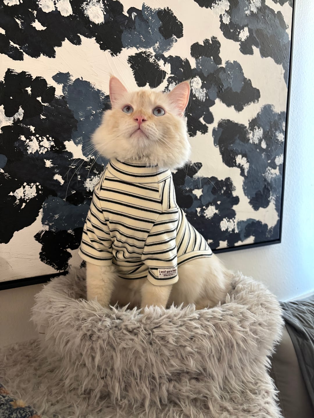 Customer photo review of City Lines Shirt