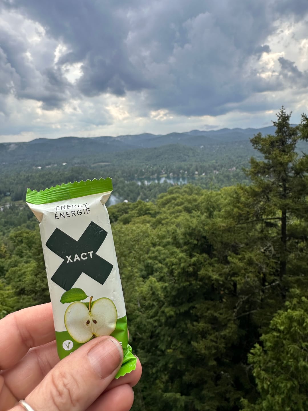 Customer photo review of XACT Energy Bars