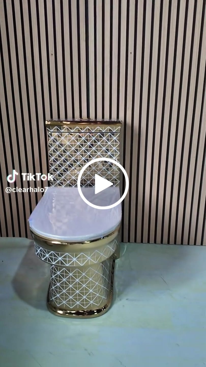 Customer video review of Contemporary One Piece Flush Toilet Floor Mounted Golden Urine Toilet for Washroom