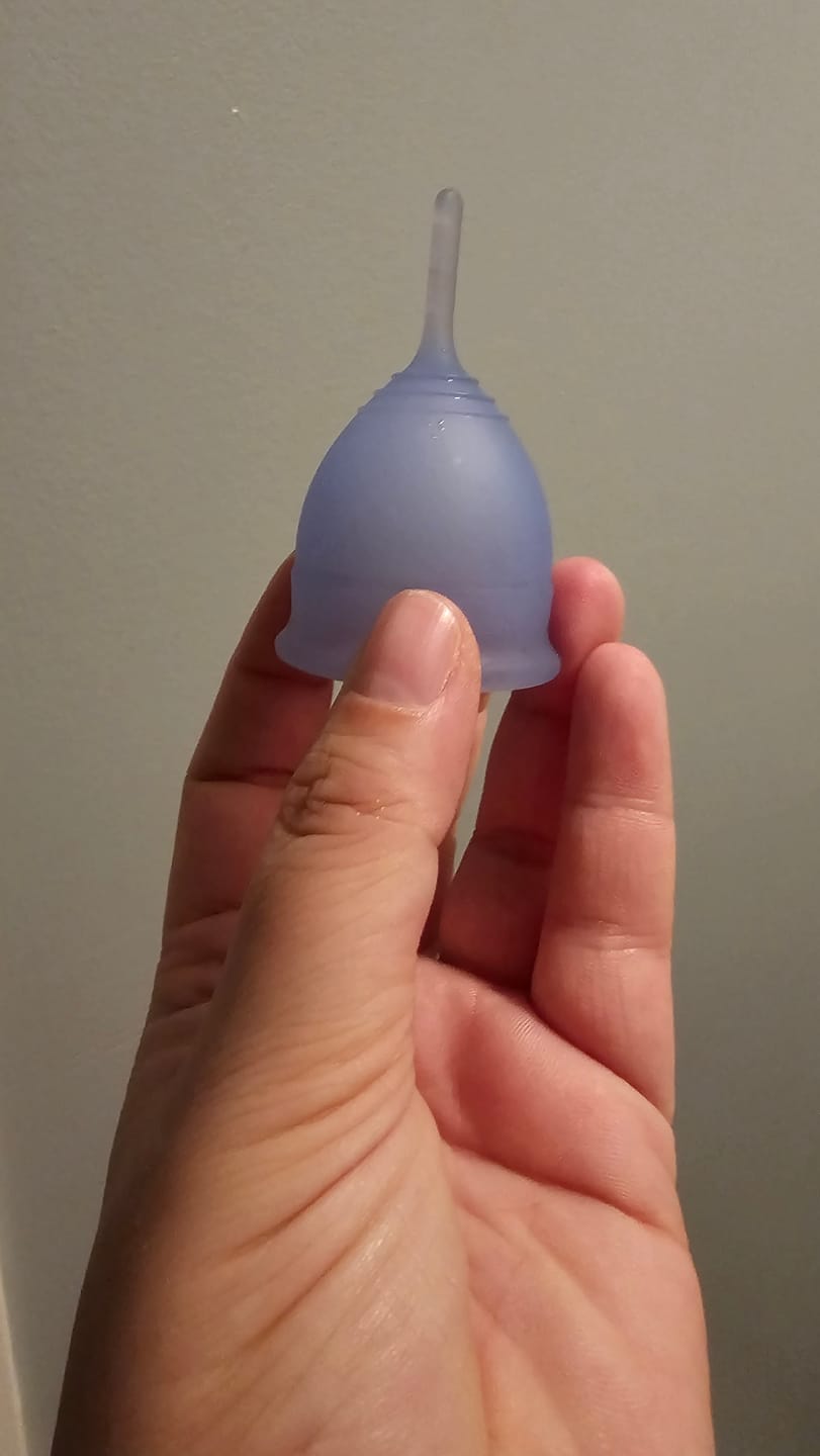 Customer photo review of Saalt Cup