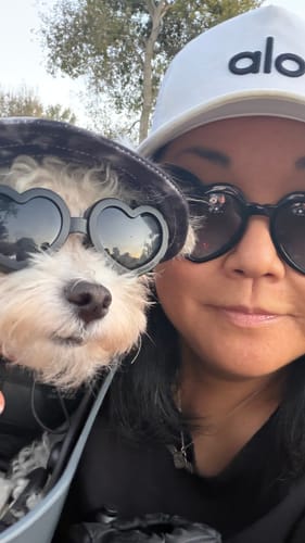 Customer's Kvisp Dog Bike Carrier seat holding a small dog wearing heart-shaped sunglasses, close-up.