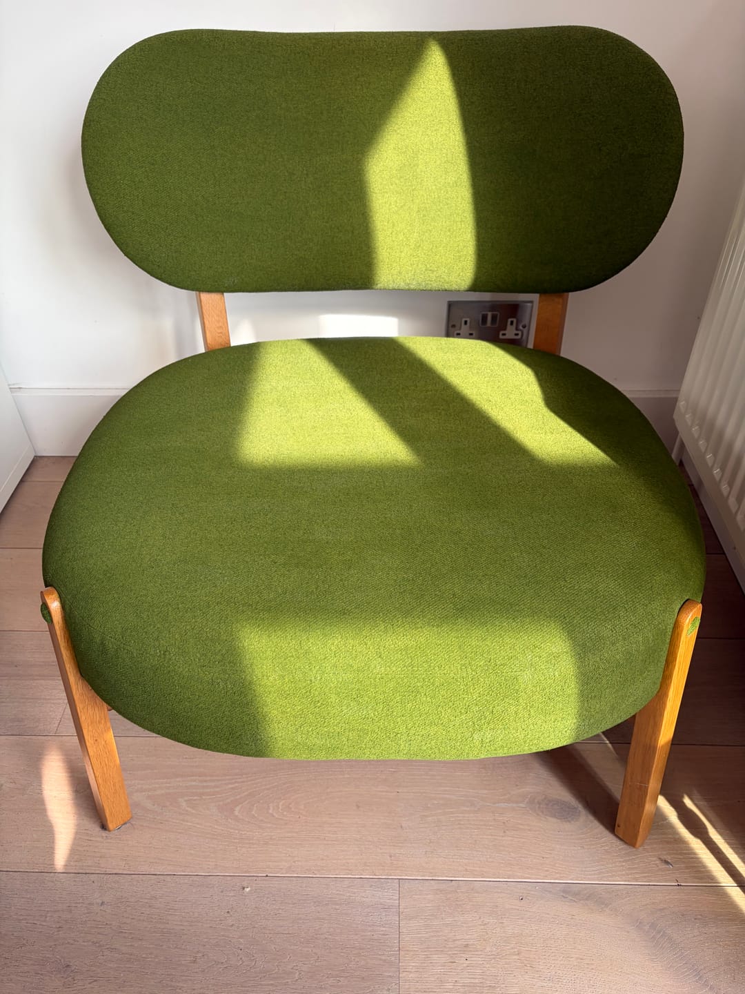 Customer photo review of Fabric Paint -- Olive