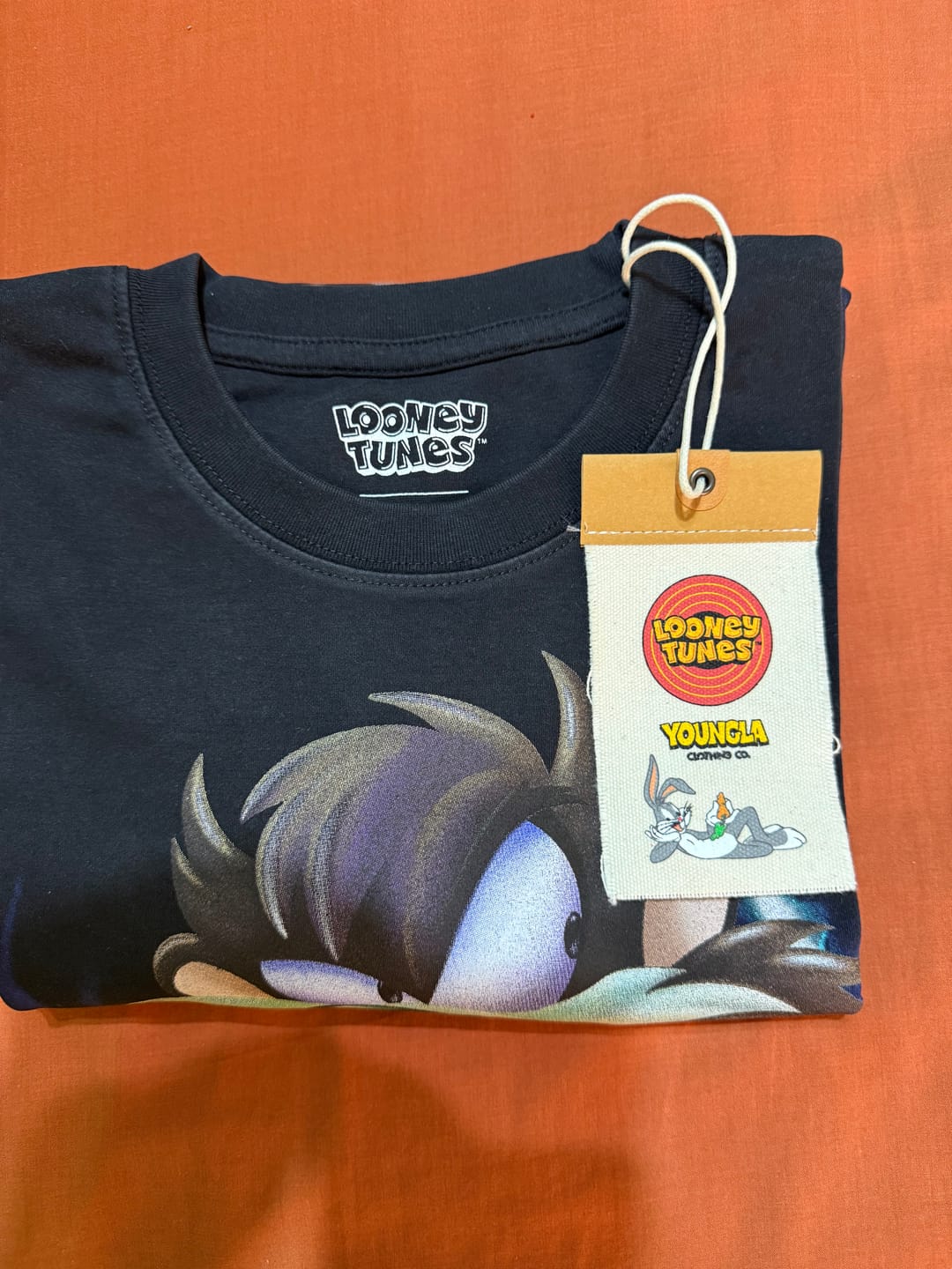Customer photo review of 4301 - Looney Tunes Character Tees