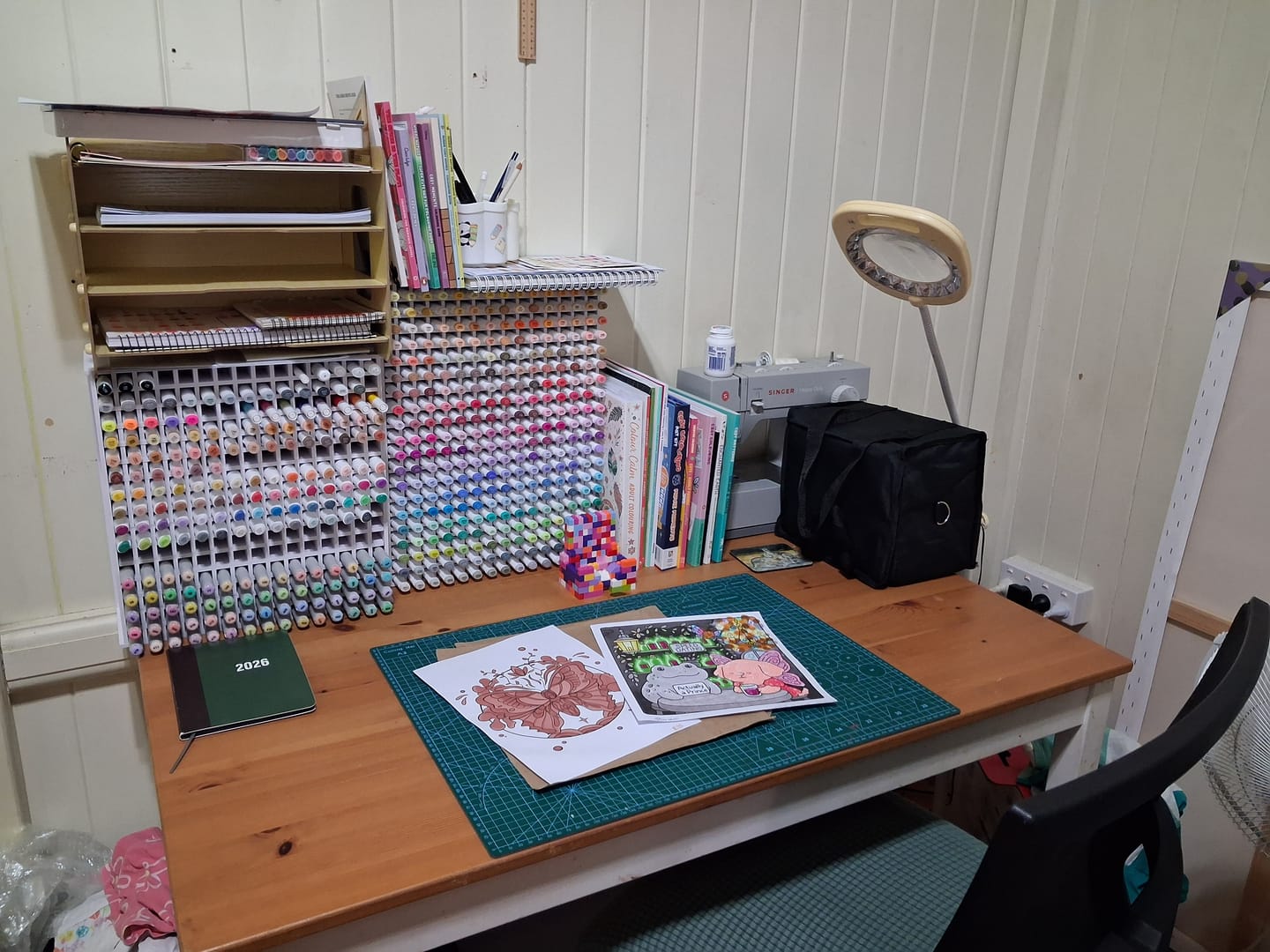Customer photo review of Ohuhu Oahu 320 Colors Dual Tips Alcohol Art Markers, Fine & Chisel (New Color Codes)