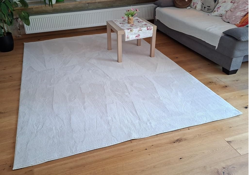 Customer photo review of StarPod™ V18 sladdlös dammsugare