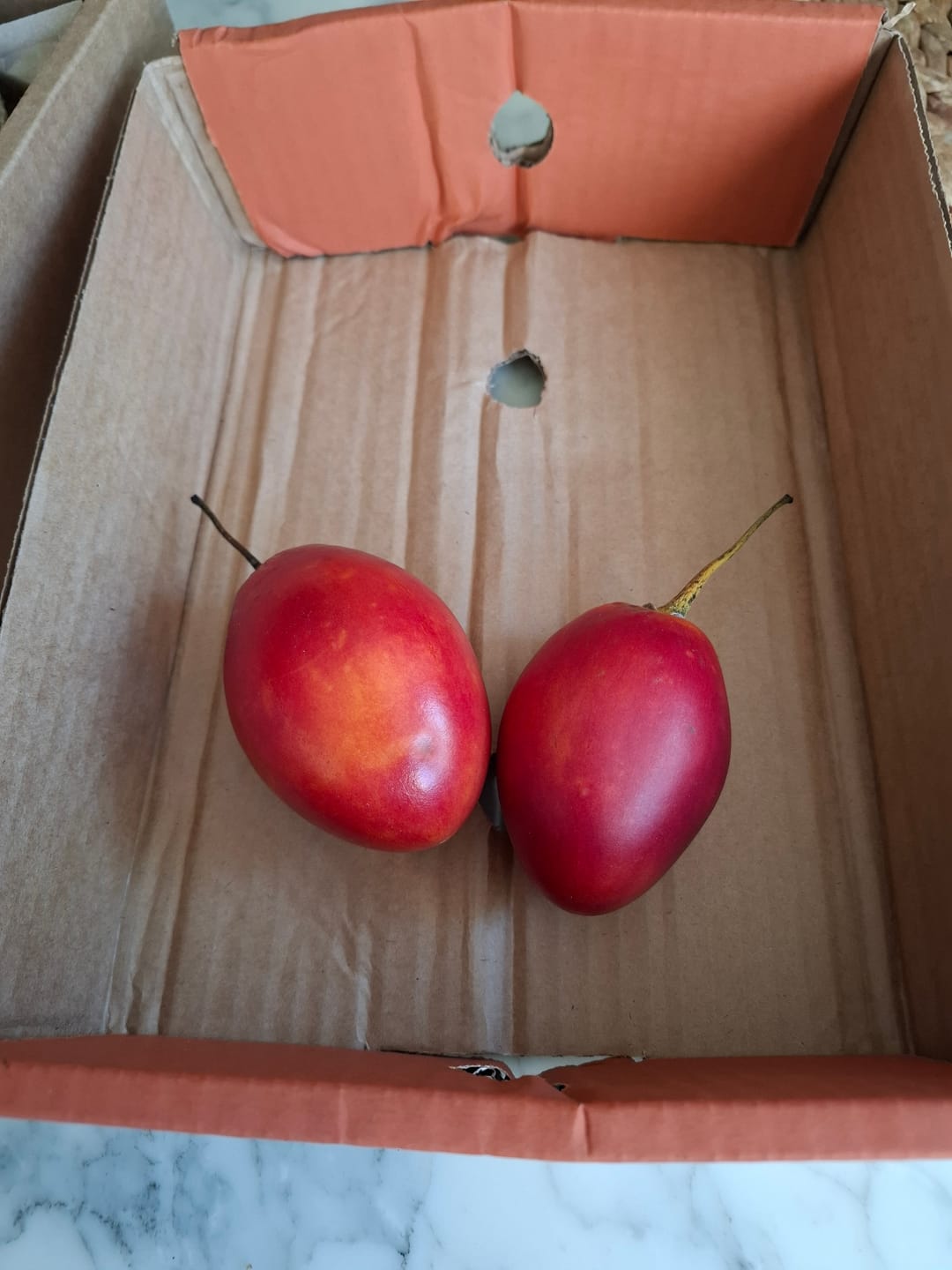 Customer photo review of Tamarillo (Tomate de Arbol)